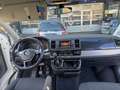 Volkswagen T6 Multivan Comfortline TSI Standheizung Anhängerkupplung Bílá - thumbnail 6