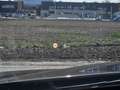 BMW 325 d GT Blau - thumbnail 8