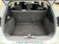 Ford Puma Titanium LED+iACC+BLIS+Sync4+RFK-360° Grau - thumbnail 12