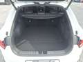 Kia ProCeed / pro_cee'd PRO_CEE'D 1.6T GT AUTOMATIK GLASDACH KOMFORT White - thumbnail 10