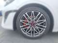 Kia ProCeed / pro_cee'd PRO_CEE'D 1.6T GT AUTOMATIK GLASDACH KOMFORT White - thumbnail 9