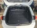Ford Focus ST-Line Tra. 1,0 EBoost 125PS MHEV M6 F Weiß - thumbnail 22