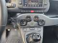 Fiat Panda Panda III 2021 1.0 firefly hybrid City Life s Nero - thumbnail 13