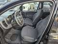 Fiat Panda Panda III 2021 1.0 firefly hybrid City Life s Nero - thumbnail 8