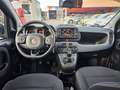 Fiat Panda Panda III 2021 1.0 firefly hybrid City Life s Nero - thumbnail 9