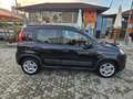 Fiat Panda Panda III 2021 1.0 firefly hybrid City Life s Nero - thumbnail 4