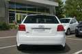 Audi S3 Quattro (8P1) 2.0 TFSi 16V 265 ch Weiß - thumbnail 7