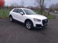 Audi Q2 Q2 35 TFSI S tronic sport Wit - thumbnail 7