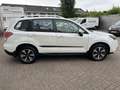 Subaru Forester 2.0I AWD COMFORT AUTOMAAT PANODAK 12 MND GAR! Blanc - thumbnail 7
