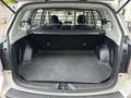 Subaru Forester 2.0I AWD COMFORT AUTOMAAT PANODAK 12 MND GAR! Blanc - thumbnail 23
