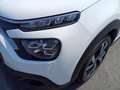 Citroen C3 C3 PureTech 83 Shine Pack Blanc - thumbnail 10