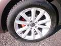 Volkswagen Beetle Beetle 1,2 TSI BMT Sky Sky Braun - thumbnail 4