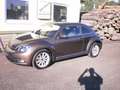 Volkswagen Beetle Beetle 1,2 TSI BMT Sky Sky Braun - thumbnail 2