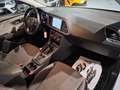 SEAT Leon SW DSG ST 1.6 TDI BUSINESS 115CV NAVI CARPLAY Bianco - thumbnail 13