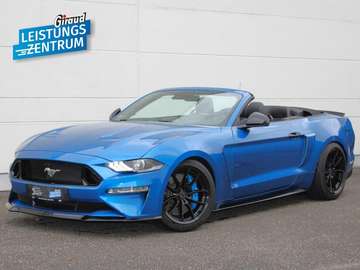 GT Convertible Shelby Deutsches Fahrzeug