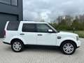 Land Rover Discovery 3.0 TDV6 HSE Volledig onderhouden Blanco - thumbnail 5