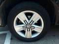 Volkswagen Premium Corto 2.0 TDI 110kW BMT DSG Negro - thumbnail 37