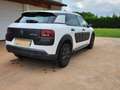 Citroen C4 Cactus cactus  blue hdi 100 ses live Nero - thumbnail 4