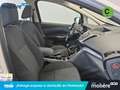 Ford C-Max 1.0 Ecoboost Auto-S&S Trend 125 Fehér - thumbnail 7