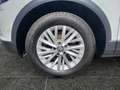 Volkswagen T-Roc 2,0 TDI SCR 4Motion Design DSG Weiß - thumbnail 15