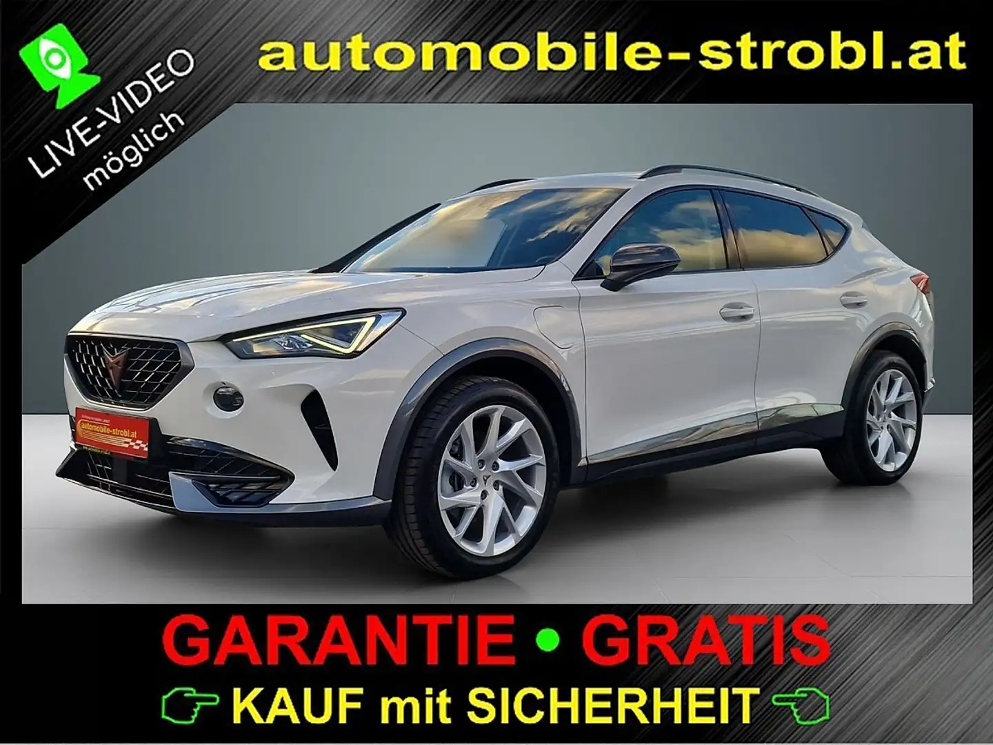 CUPRA Formentor 1.4 e-HYB *Virt.C*ACC*Sitzhzg*GARANTIE* Weiß - 2