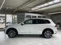 Volkswagen Touareg V6 3.0TDI DSG Panorama Bi-Xenon Tempomat Blanco - thumbnail 5