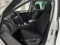 Volkswagen Touareg V6 3.0TDI DSG Panorama Bi-Xenon Tempomat Blanco - thumbnail 10