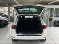 Volkswagen Touareg V6 3.0TDI DSG Panorama Bi-Xenon Tempomat Blanco - thumbnail 23
