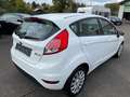Ford Fiesta Trend Zahnriemen neu Weiß - thumbnail 4
