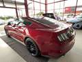 Ford Mustang FASTBACK 5,0 V8 421 GT GPS CAMERA REGULATEUR LIMIT Rojo - thumbnail 25