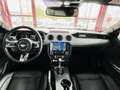Ford Mustang FASTBACK 5,0 V8 421 GT GPS CAMERA REGULATEUR LIMIT Rouge - thumbnail 4