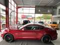 Ford Mustang FASTBACK 5,0 V8 421 GT GPS CAMERA REGULATEUR LIMIT Rojo - thumbnail 20