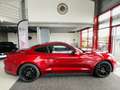 Ford Mustang FASTBACK 5,0 V8 421 GT GPS CAMERA REGULATEUR LIMIT Rouge - thumbnail 3