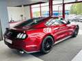 Ford Mustang FASTBACK 5,0 V8 421 GT GPS CAMERA REGULATEUR LIMIT Rouge - thumbnail 2