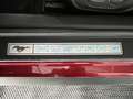 Ford Mustang FASTBACK 5,0 V8 421 GT GPS CAMERA REGULATEUR LIMIT Rojo - thumbnail 18