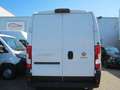 Fiat Ducato L2H2 140 MJT Alb - thumbnail 3