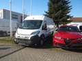 Fiat Ducato L2H2 140 MJT Alb - thumbnail 12