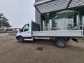 Ford Transit 350 L3 CC Trazione anteriore 130CV M& Blanco - thumbnail 2