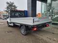 Ford Transit 350 L3 CC Trazione anteriore 130CV M& Blanco - thumbnail 3