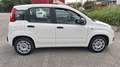 Fiat Panda Panda III 2016 1.2 Lounge easypower Gpl 69cv my19 Blanc - thumbnail 6