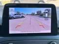 Ford Focus NEOPATENTATI Active 1.0  hybrid Bianco - thumbnail 5