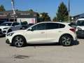 Ford Focus NEOPATENTATI Active 1.0  hybrid Bianco - thumbnail 11