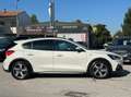 Ford Focus NEOPATENTATI Active 1.0  hybrid Bianco - thumbnail 10