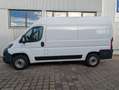 Fiat Ducato Fiat Ducato 3.3to 120PS Klima PDC L2H2 2,2ltr. Blanc - thumbnail 16