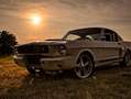 Ford Mustang Ford mustang GT350 Shelby Blanc - thumbnail 1