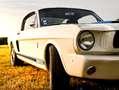 Ford Mustang Ford mustang GT350 Shelby Blanc - thumbnail 2