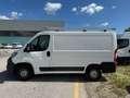 Fiat Ducato 330 L1h1 2.0 110cv - Motore Rumoroso - FN032MG Bianco - thumbnail 7