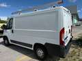 Fiat Ducato 330 L1h1 2.0 110cv - Motore Rumoroso - FN032MG Bianco - thumbnail 4