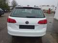 Volkswagen Golf VII 1.6 TDI Variant BMT Weiß - thumbnail 4