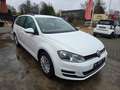 Volkswagen Golf VII 1.6 TDI Variant BMT Weiß - thumbnail 6